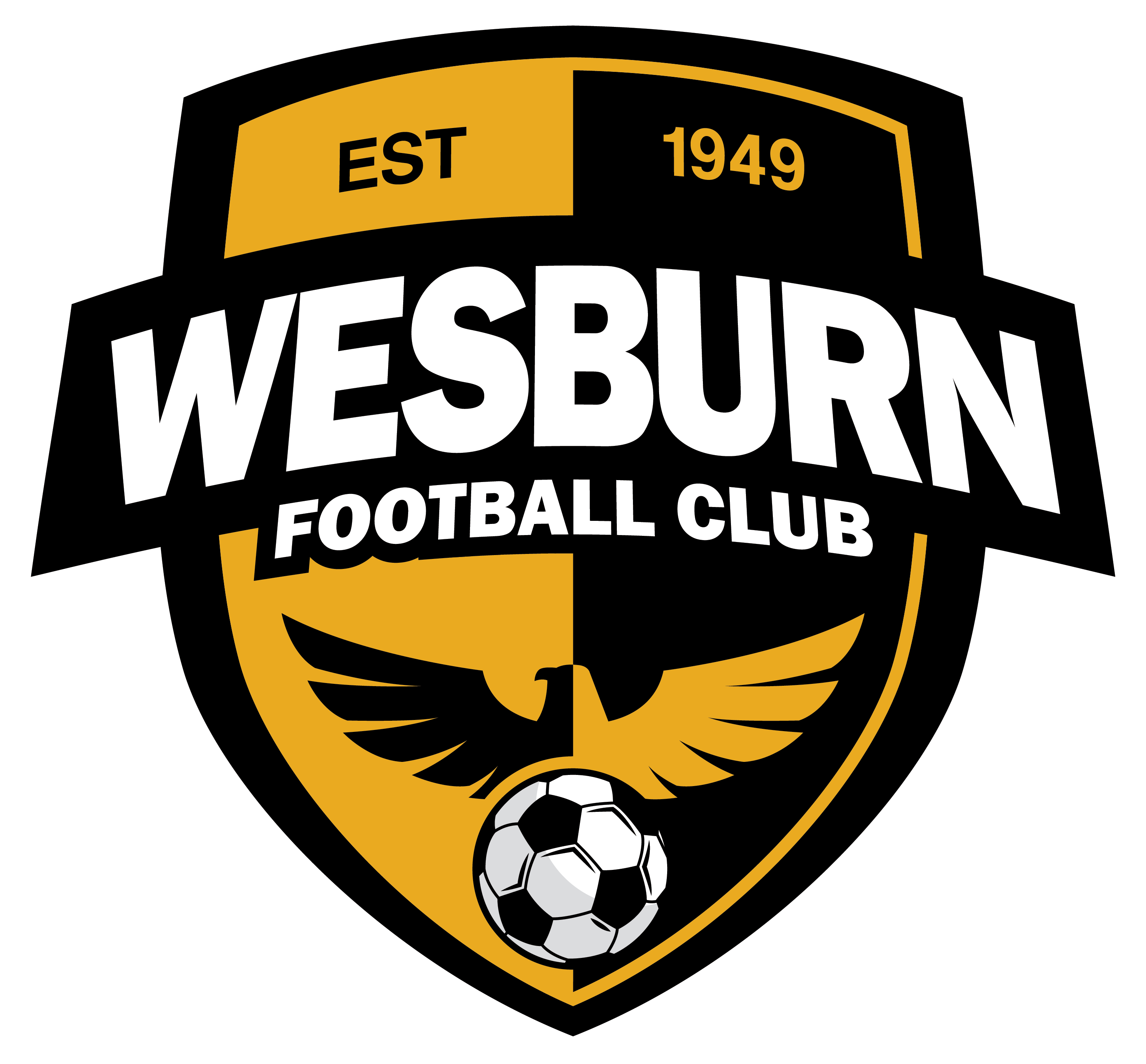 wesburn-fc-logo-transparent-white-border-large